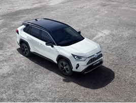2019 Toyota RAV4